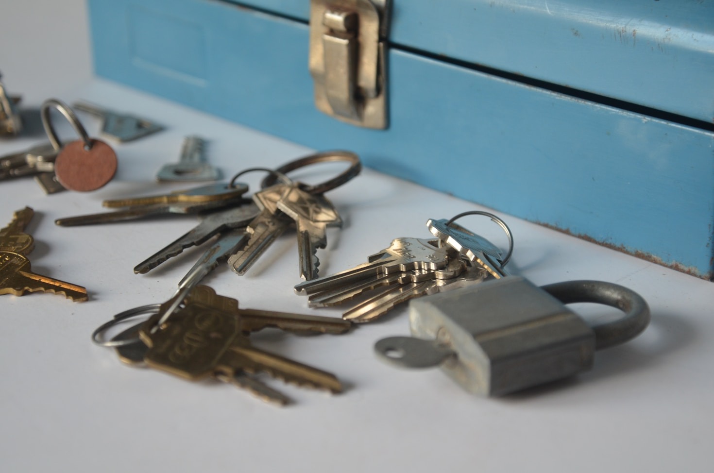 Protecting Your Property Investment From Termites